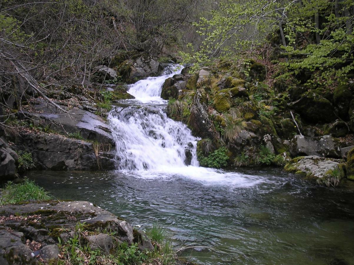 Vila Verusa Exteriér fotografie